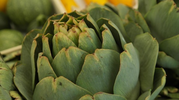 artichokes-383403_1920