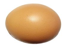 egg-1