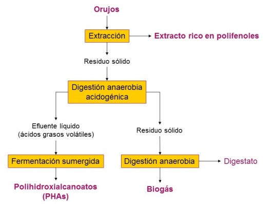 Frago_biorefineria_residuos vino
