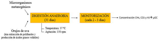 producción de biogás