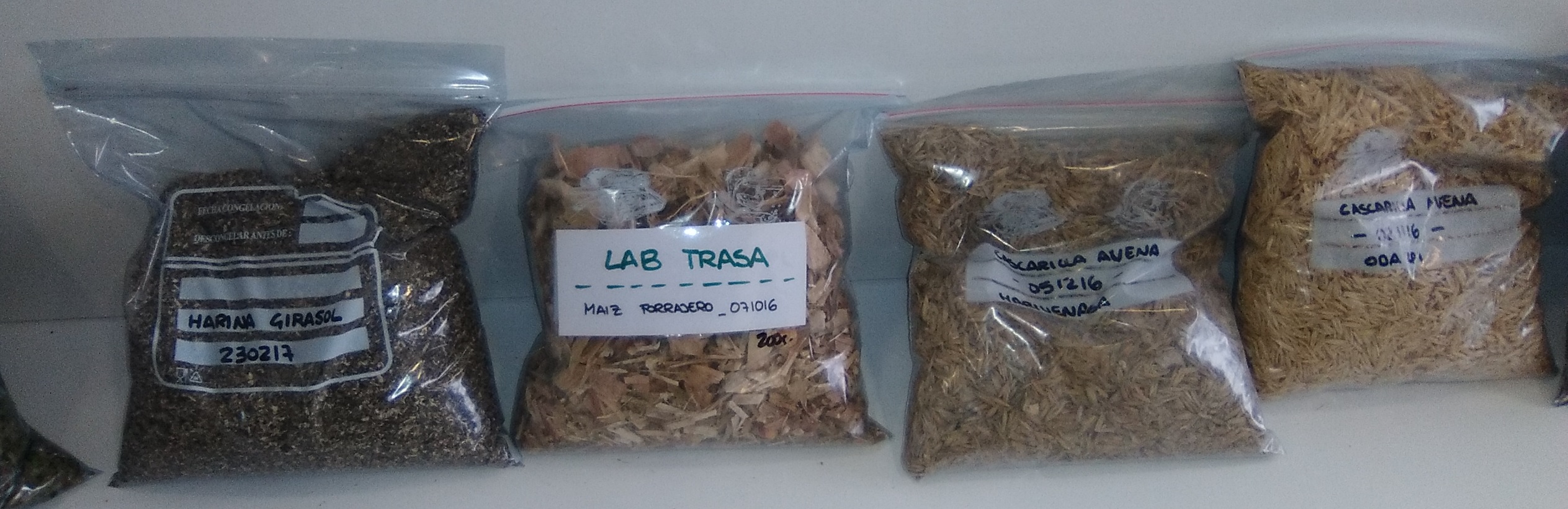 IMG_20170307_165130b